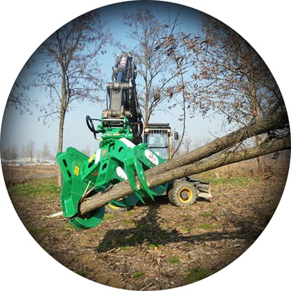 Hydraulic tree cutter or hedge shear working with a spider excavator.